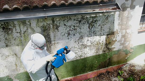 Top rated local Mold Remediation specialists in Dublin, PA